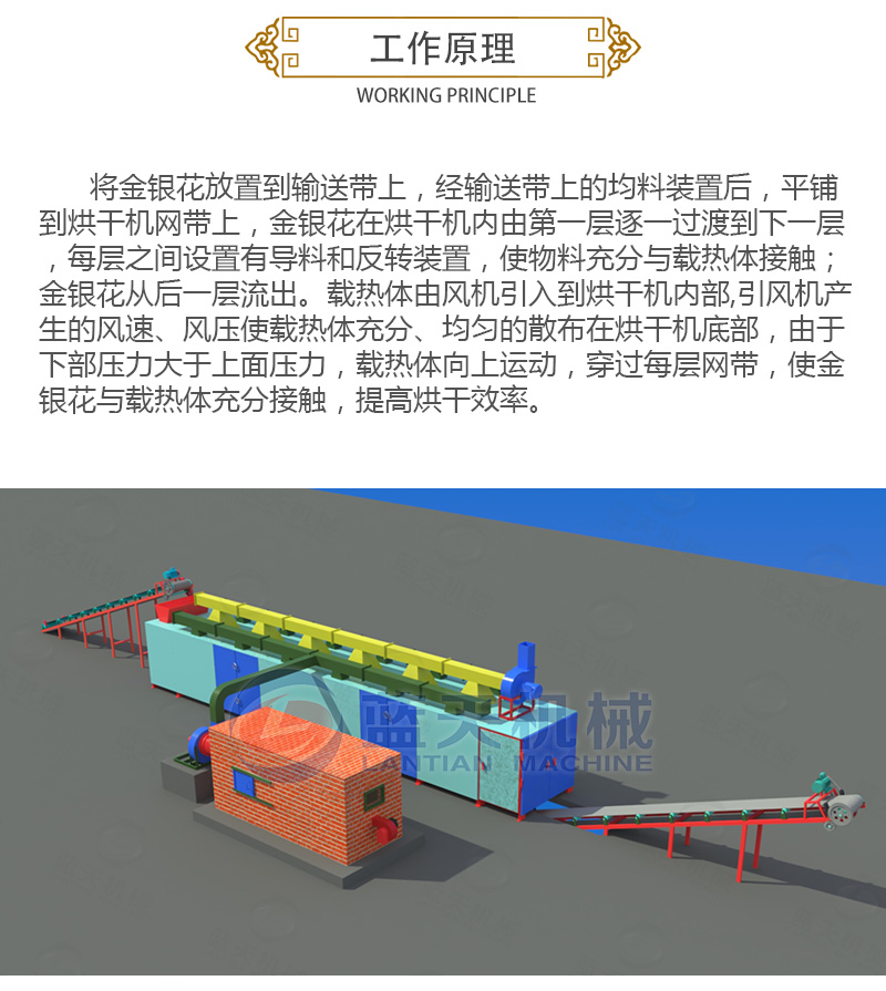 金银花网带式烘干机工作原理